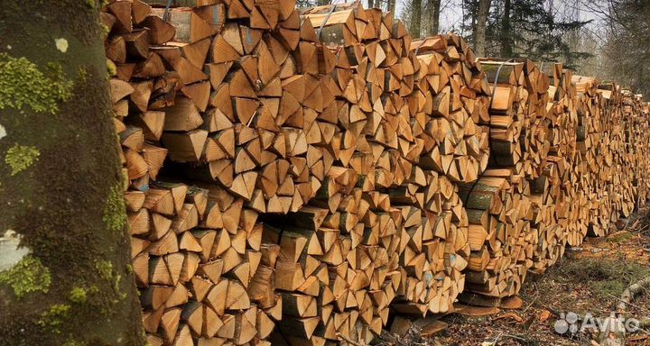 Дрова ольха осина