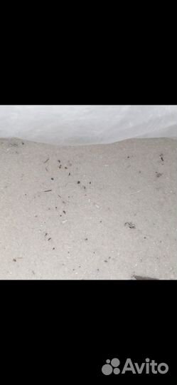 Грязный сахар для пчел