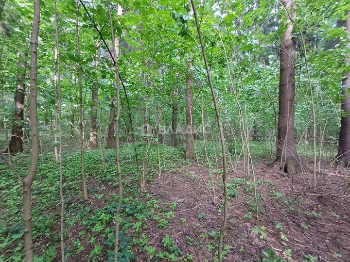 Участок 20 сот. (СНТ, ДНП)