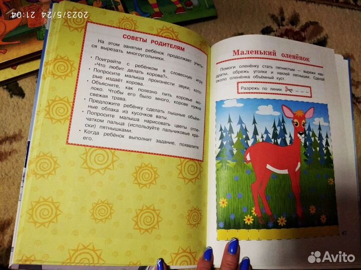 Развивающие книги Ломоносовская школа, 2-3 года