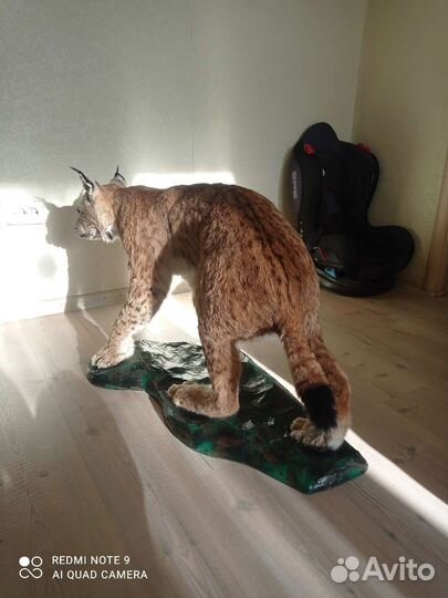 Чучело рыси (имитация)