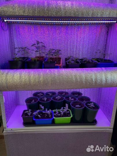 Стеллаж для рассады с подсветкой