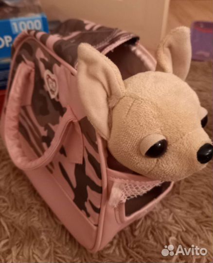 Собака Chi Chi Love