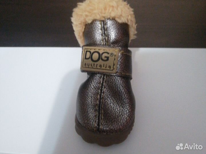 Обувь для собак мелких пород