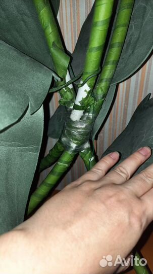 Ростовые розы из изолона