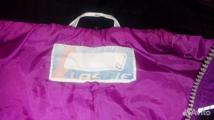 Лесси осень