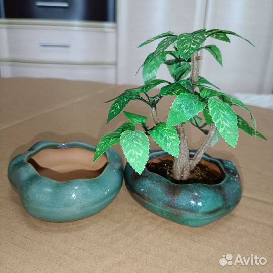 Кашпо и горшки для кактусов, фиалок, суккулентов