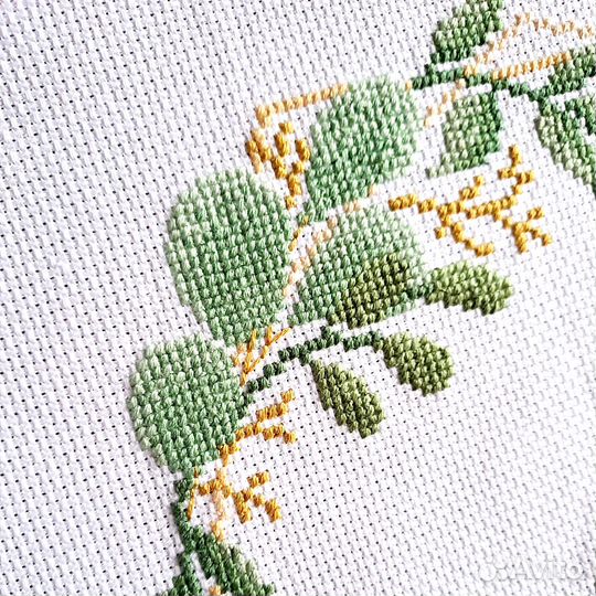 Набор для вышивания монограмма эвкалипт Аида 14cnt