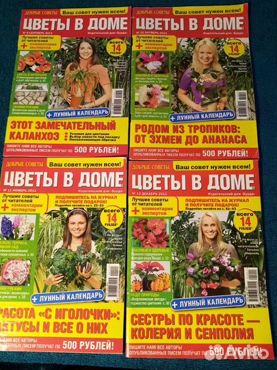 Цветы в доме. 2011 г
