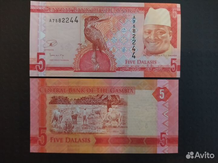 Банкноты Африки