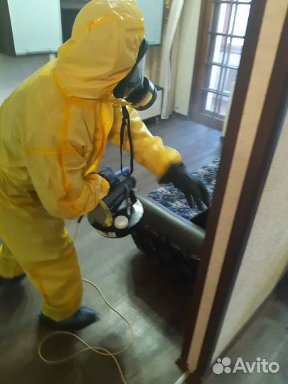 Уничтожение клопов тараканов блох муравьев клещей