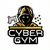 CyberGym