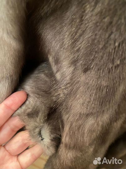 Шуба норковая 50 размер