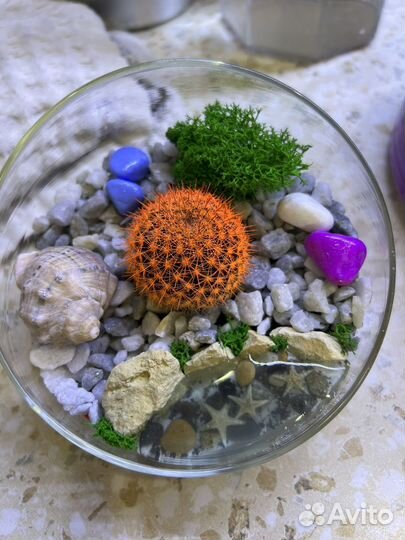 Флорариум на заказ