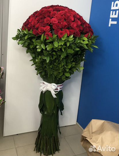 WOW - роза гигант 1,55 м