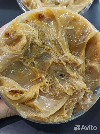 Дикий Мёд (Бортевой) 2022