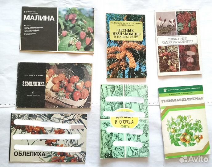 Книги Сад Марки Музыка Учебники Право Экономика