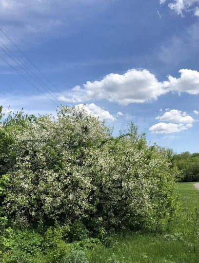 Дом 35 м² на участке 50 сот.