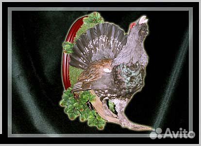 Таксидермия, изготовление любых чучел