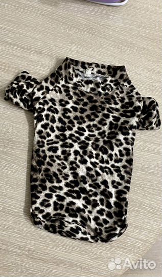 Одежда для собак