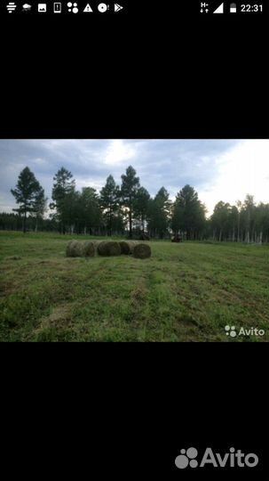 Сено в рулонах