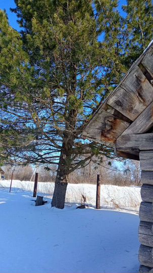 Дом 32 м² на участке 16,5 сот.