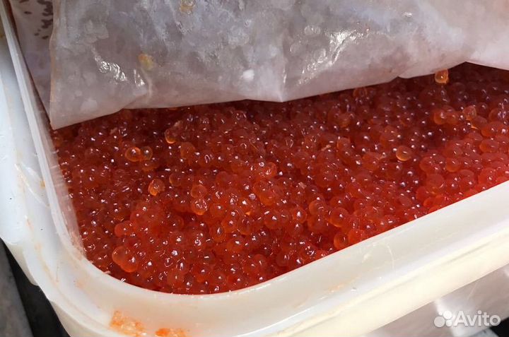 Красная икра горбуши оптом и мелким оптом
