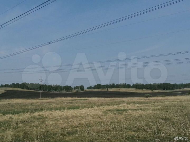Участок 6,3 га (СНТ, ДНП)