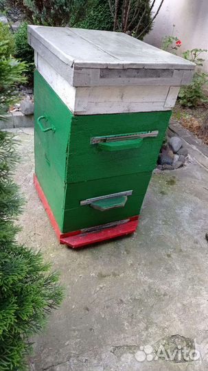 Улики для пчел