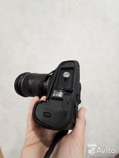 Canon 5d Mark iii (3)