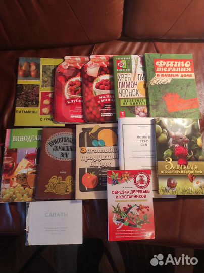 Рецепты, заготовки, полезные советы