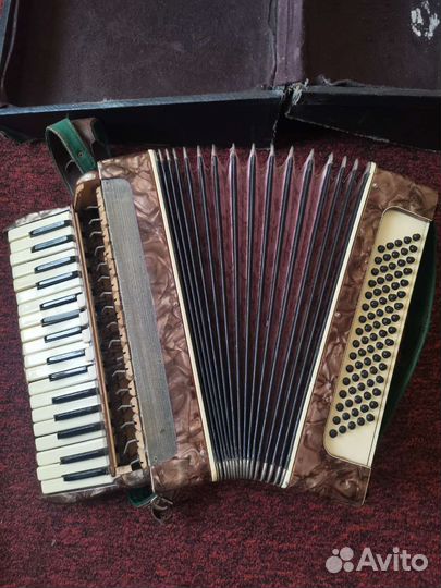 Аккордеон германия