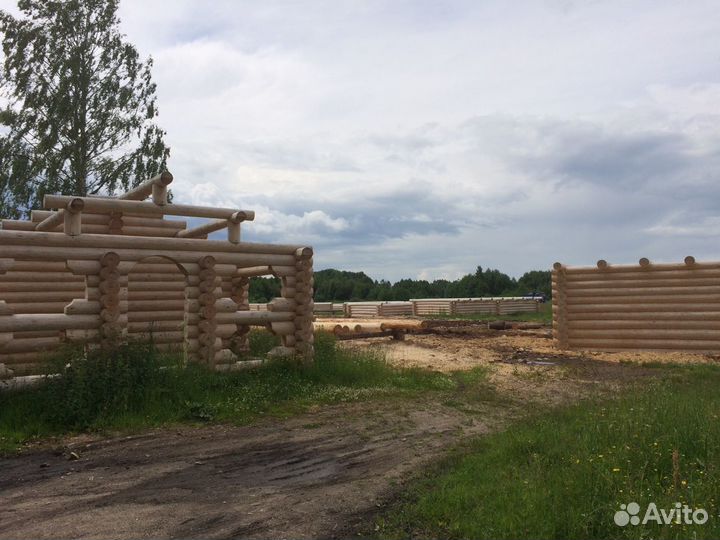 Срубы, Старица, бани, дома