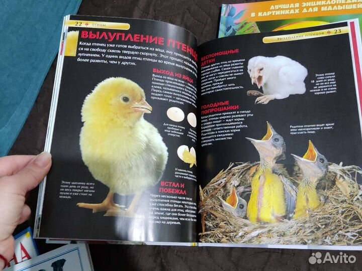 Детские книжки