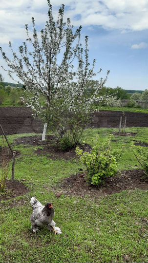 Дом 46 м² на участке 80 сот.