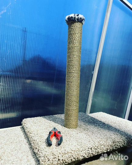 Когтеточка 