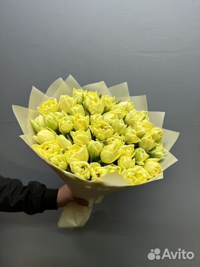 Тюльпаны розы