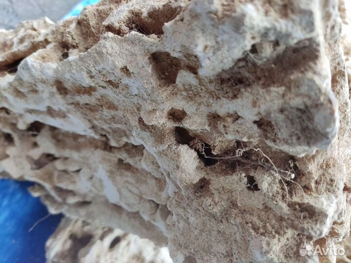 Камень песчанник