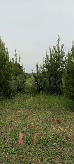 Участок 7 сот. (ИЖС)