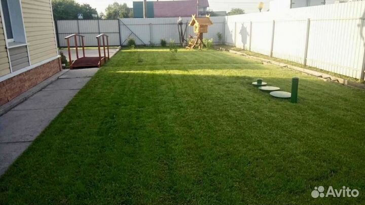 Рулонный газон, укладка, продажа