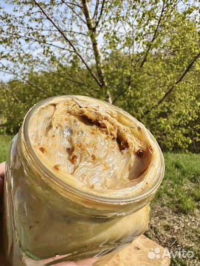 Дикий Мед (насыщенный)