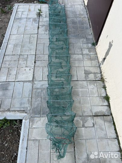 Раки Раколовки которые ловят