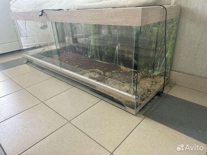 Террариум для рептилий