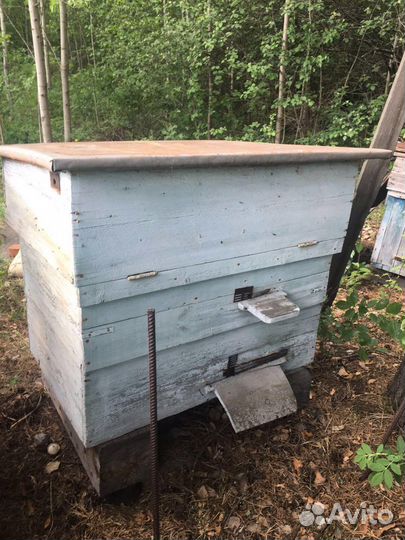 Улей для пчел