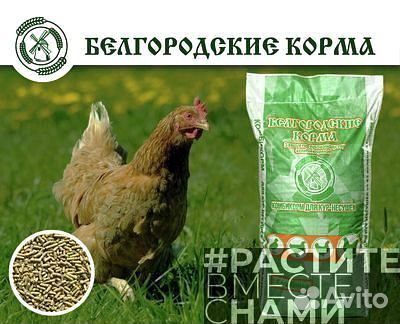 Комбикорм для кур