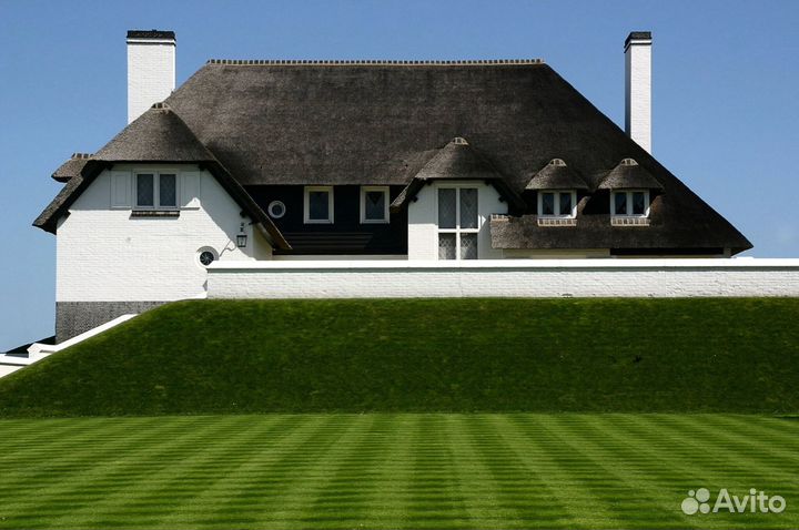 Рулонный газон с укладкой