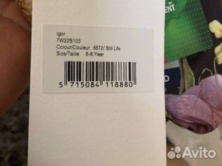 Molo igor still life 3-5