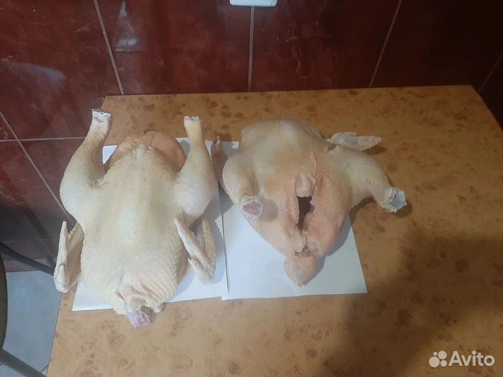 Домашние куры бройлеры