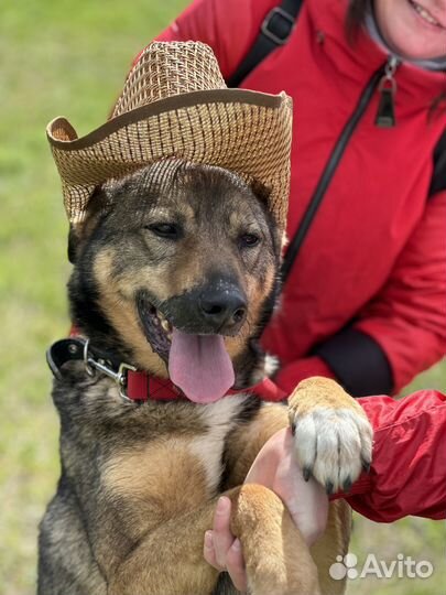 Жизнерадостному Рикки плохо в приюте