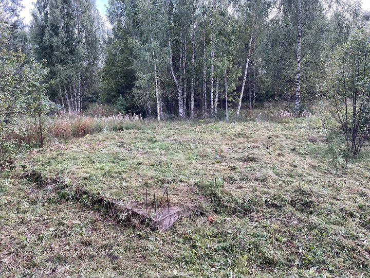 Участок 16,5 сот. (СНТ, ДНП)